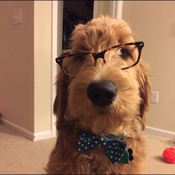 Meet your Posher, Allison - Picture 1 of 1