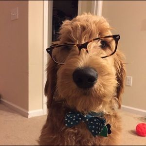 Meet your Posher, Allison