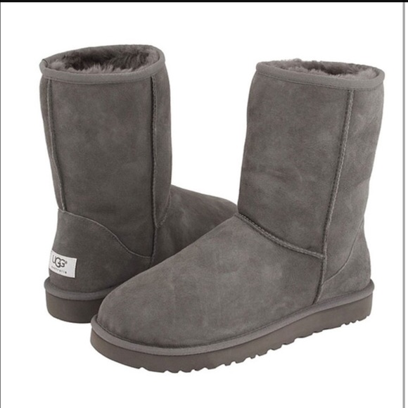 ISO gray short classic Uggs!