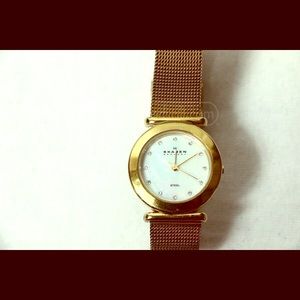 Skagen Gold Mesh Watch