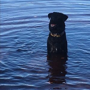 Meet your Posher, Chris