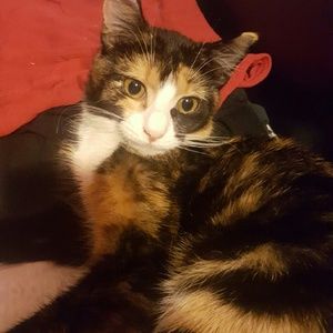 Meet your Posher, Inna