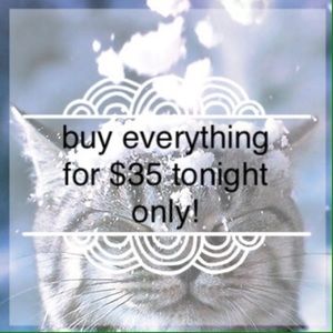 BUY MY WHOLE CLOSET FOR $35