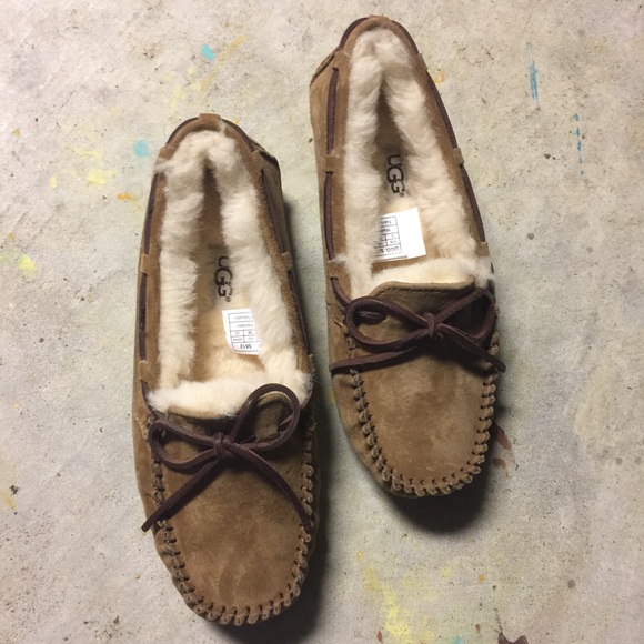 Authentic Uggs Dakota Style NIB - Picture 2 of 4
