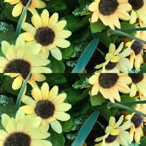 Meet your Posher, Brooklyn