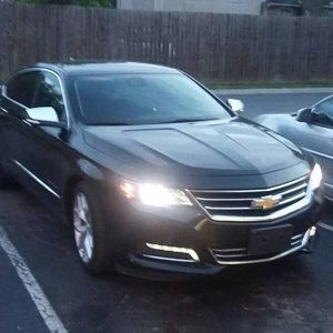 Meet your Posher, Darlene