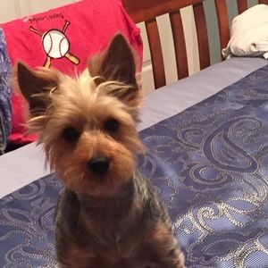 Meet your Posher, Allison