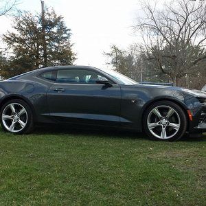 Meet your Posher, Donna