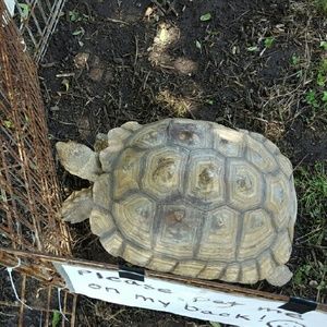 Meet your Posher, Michele