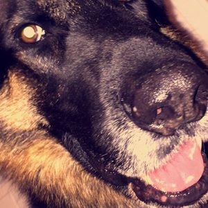 Meet your Posher, Beth