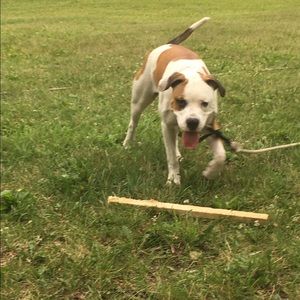 Meet your Posher, Amber