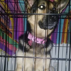 Meet your Posher, Vanessa