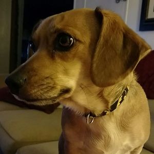 Meet your Posher, Lynn