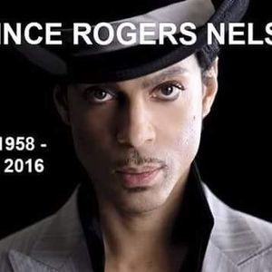 Meet your Posher, Serena