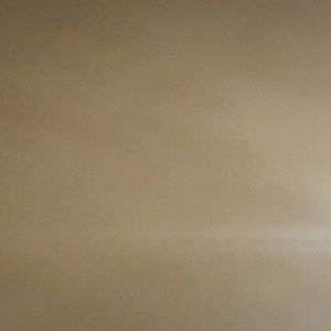 Meet your Posher, Lynn