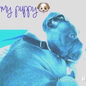 Meet your Posher, Ashton