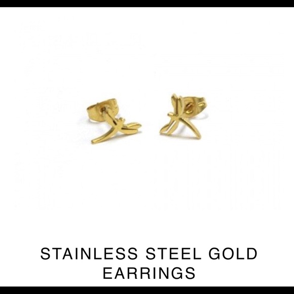 Stainless steel earrings - Picture 1 of 1