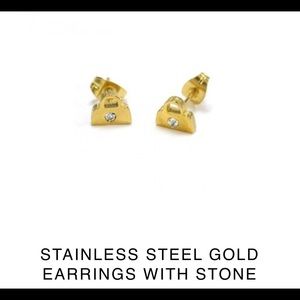 Stainless steel earrings