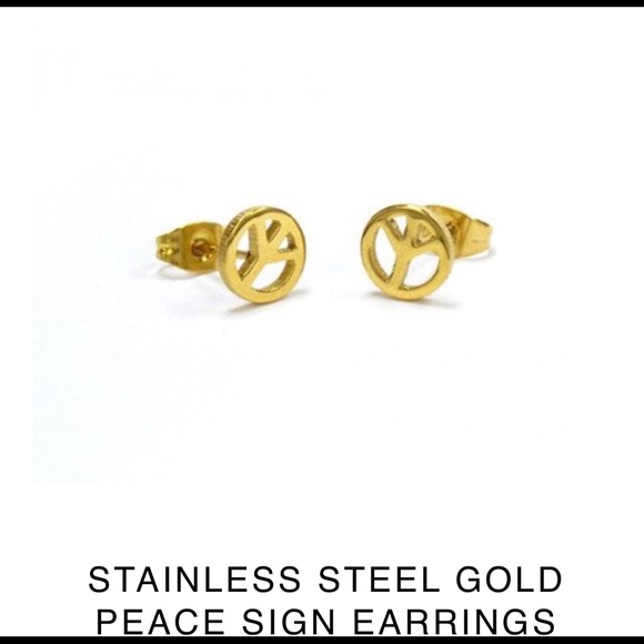 Stainless steel earrings - Picture 1 of 1