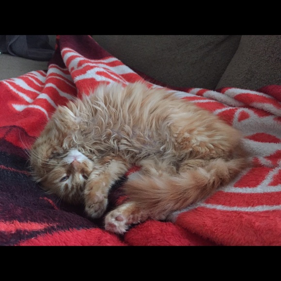 Meet your Posher, Nicole