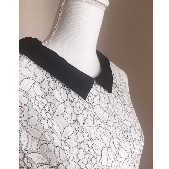 Express Tops - Express Lace Blouse