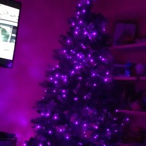 Meet your Posher, Ronnie