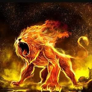 Meet your Posher, Amaury