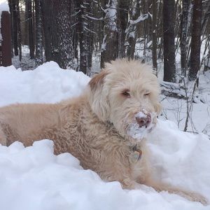 Meet your Posher, Hope