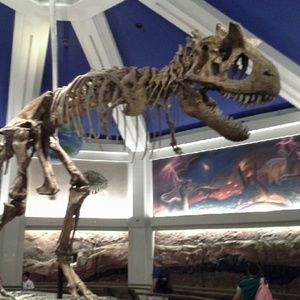 Meet your Posher, Duane