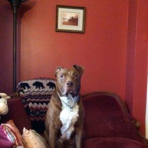 Meet your Posher, Laura