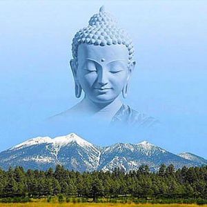 Meet your Posher, Luis