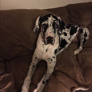 Meet your Posher, Lori