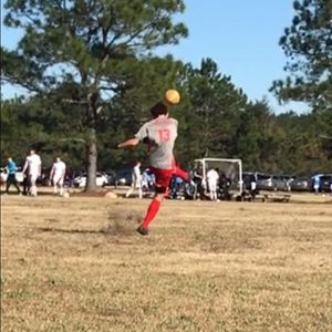 Meet your Posher, Beau