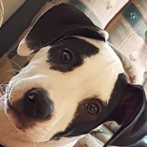 Meet your Posher, Shawna