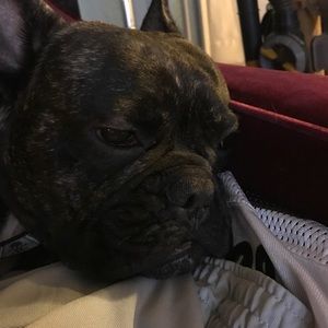 Meet your Posher, Edward