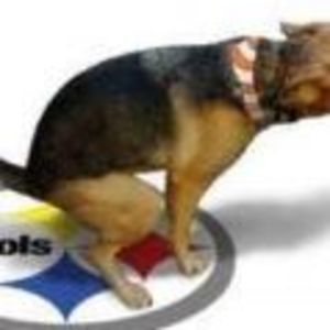 Meet your Posher, Charlie