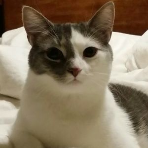 Meet your Posher, Wendy