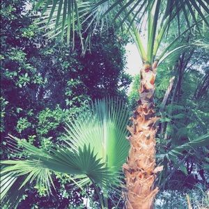 Meet your Posher, Kasey