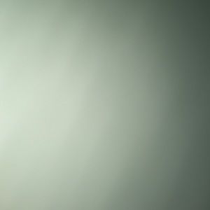 Meet your Posher, Karin