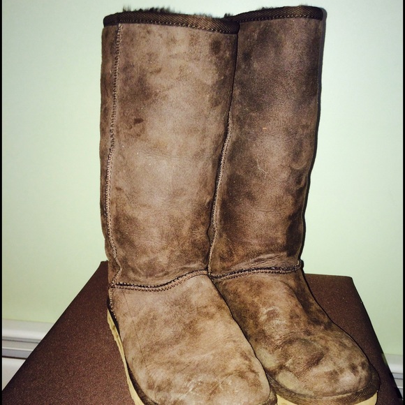 Chocolate Brown Uggs