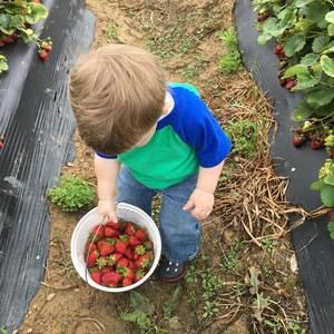 Meet your Posher, Sarah