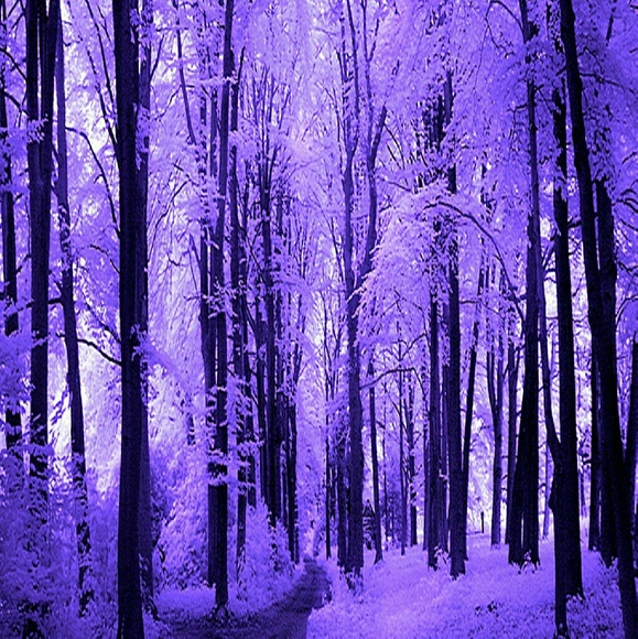 Meet your Posher, Kathleen - Picture 1 of 1