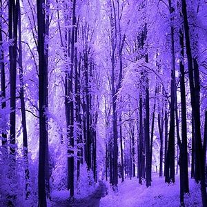 Meet your Posher, Kathleen