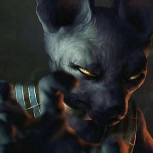 Meet your Posher, Cesar