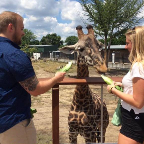 Meet your Posher, Jake - Picture 1 of 1