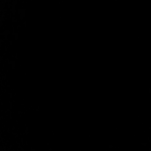 Express Black sweater