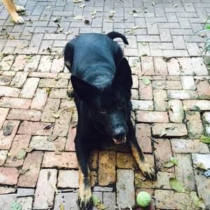 Meet your Posher, Jose angel