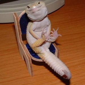 Meet your Posher, Chris