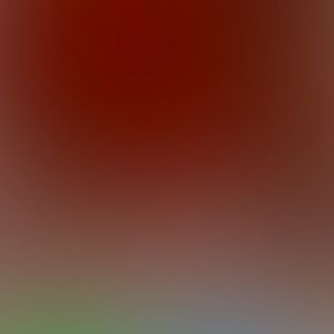 Meet your Posher, Jada