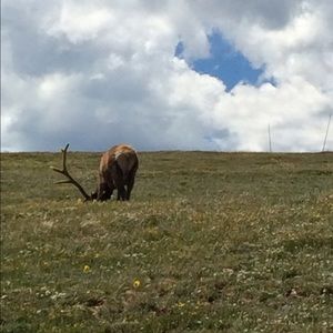 Meet your Posher, Keegan